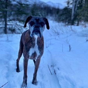 Meet your Posher, Mandy